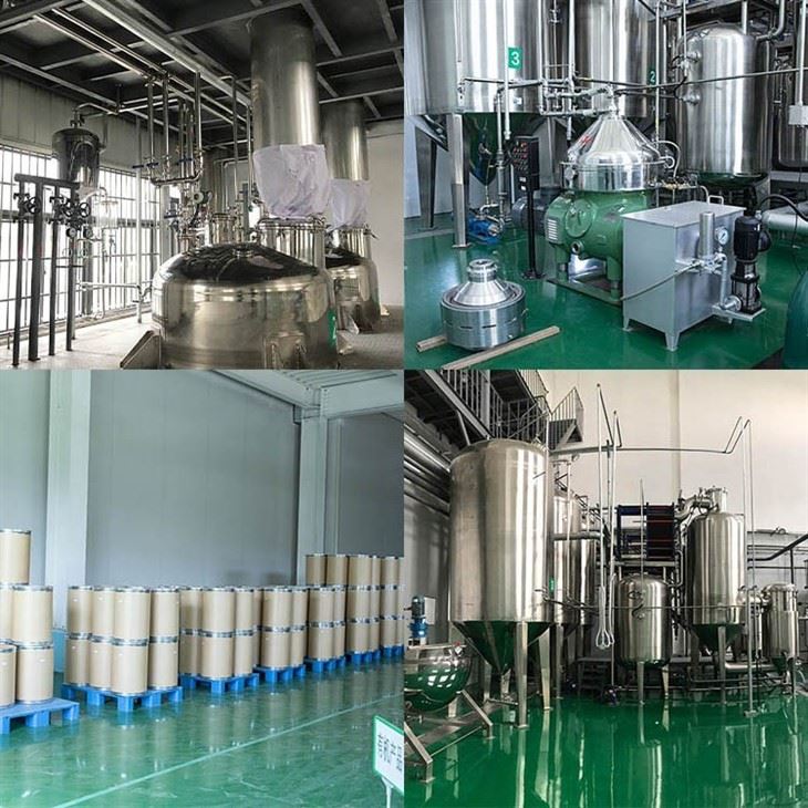Organic Dragon Fruit Powder factory